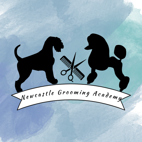 Newcastle Grooming Academy